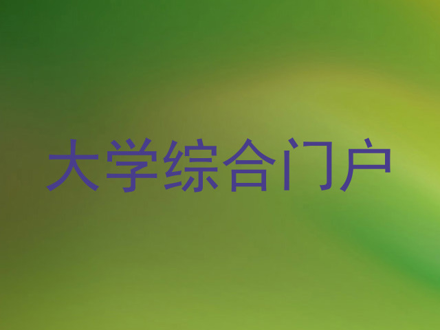 大学综合门户