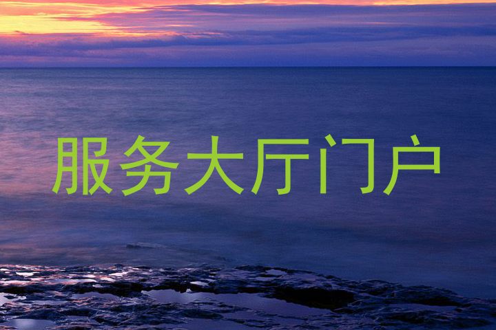 服务大厅门户
