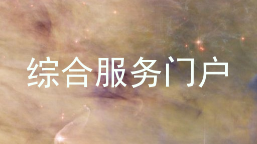 综合服务门户