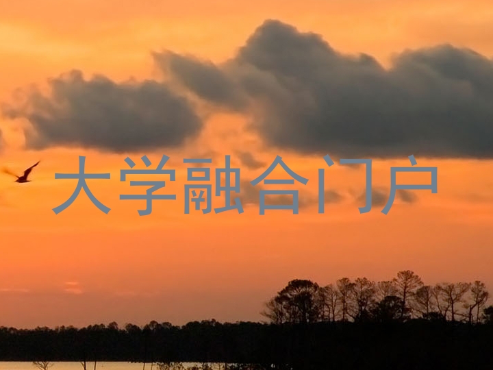 大学融合门户