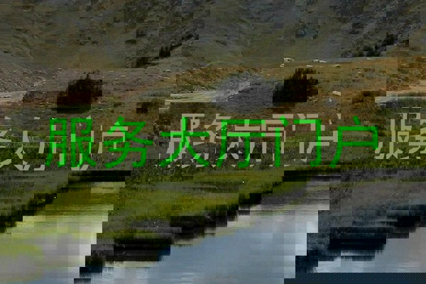 服务大厅门户