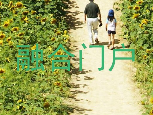 融合门户