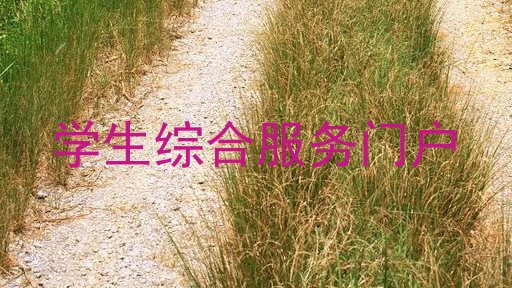 学生综合服务门户