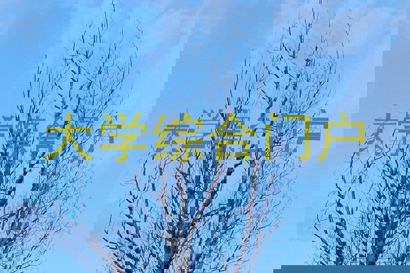 大学综合门户