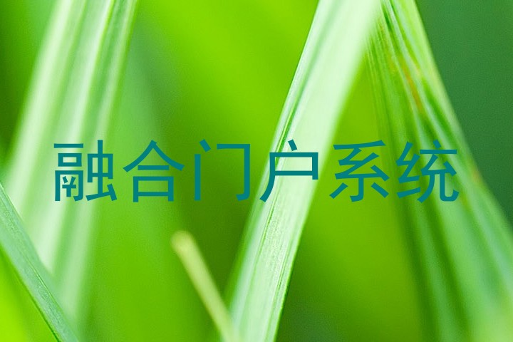 融合门户系统