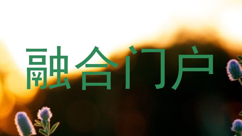 融合门户