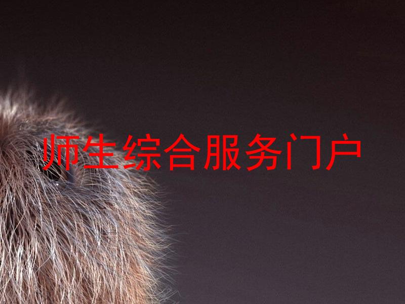 师生综合服务门户