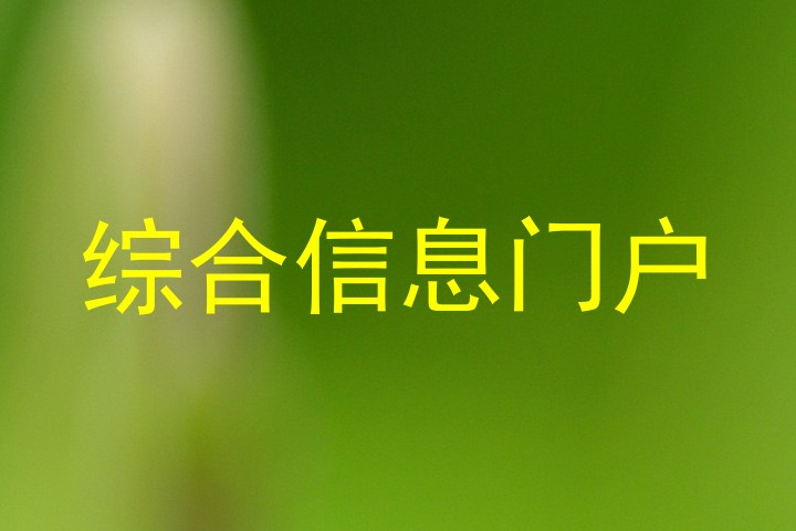 综合信息门户