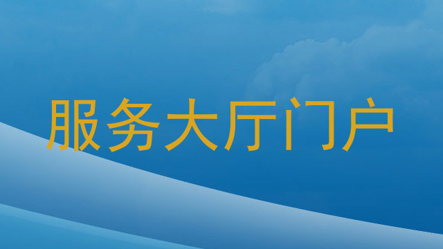 服务大厅门户