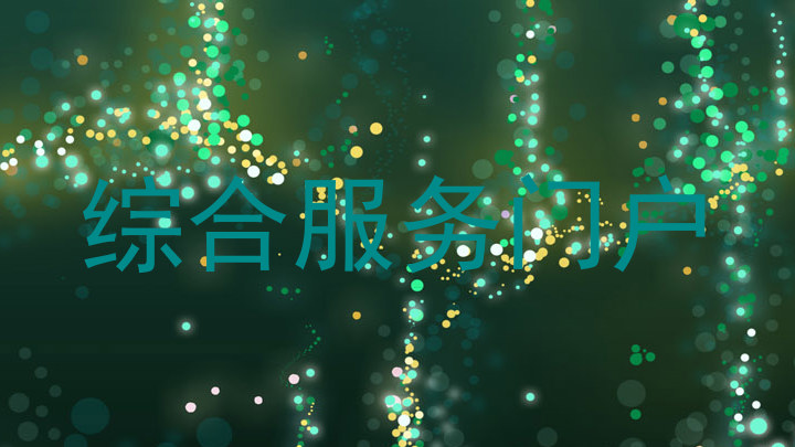 综合服务门户