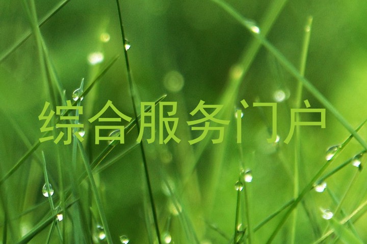 综合服务门户
