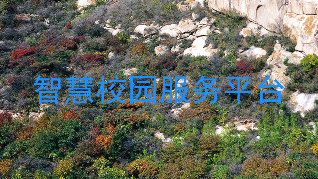 智慧校园服务平台