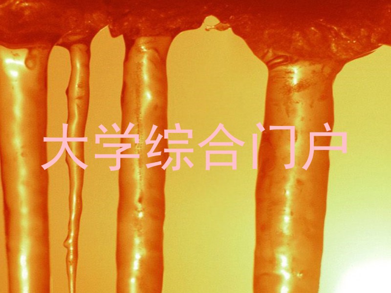 大学综合门户