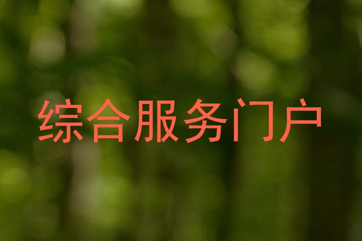 综合服务门户