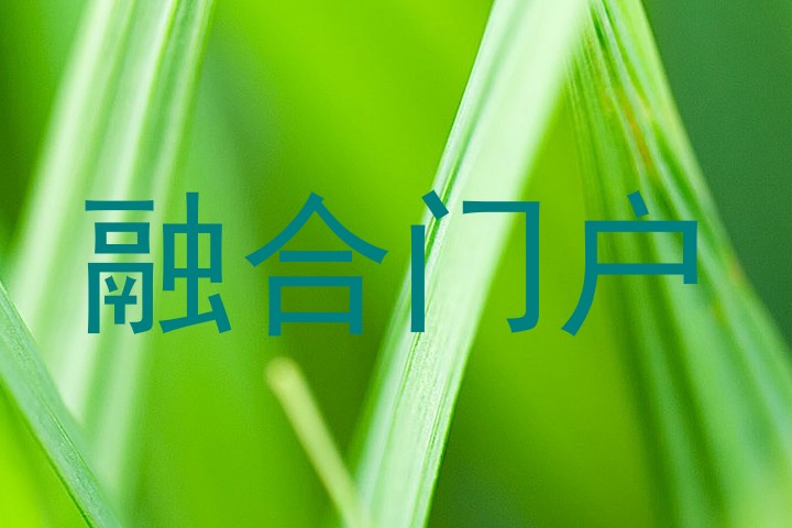 融合门户