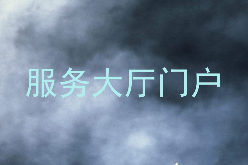 服务大厅门户