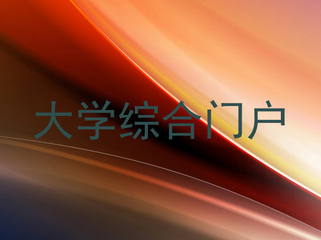 大学综合门户