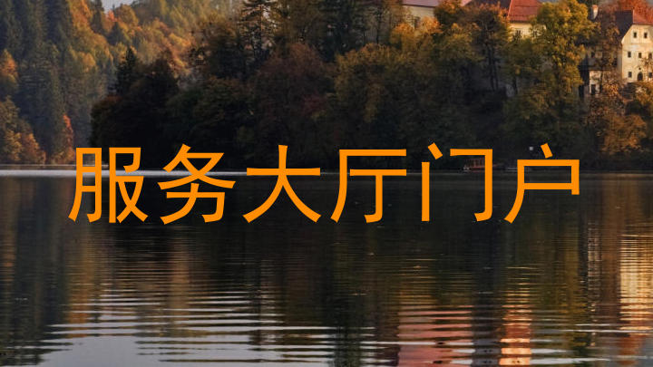 服务大厅门户