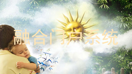 融合门户系统
