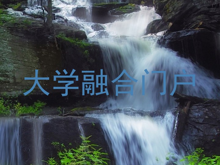 大学融合门户