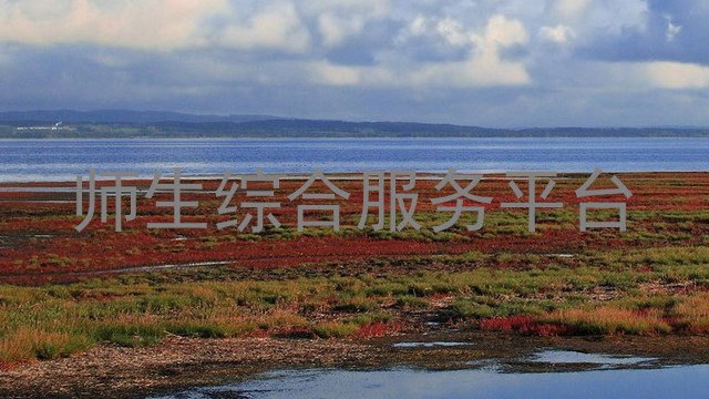 师生综合服务平台