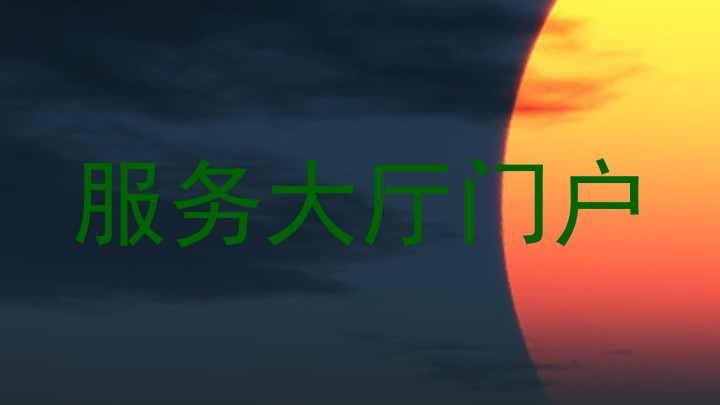 服务大厅门户