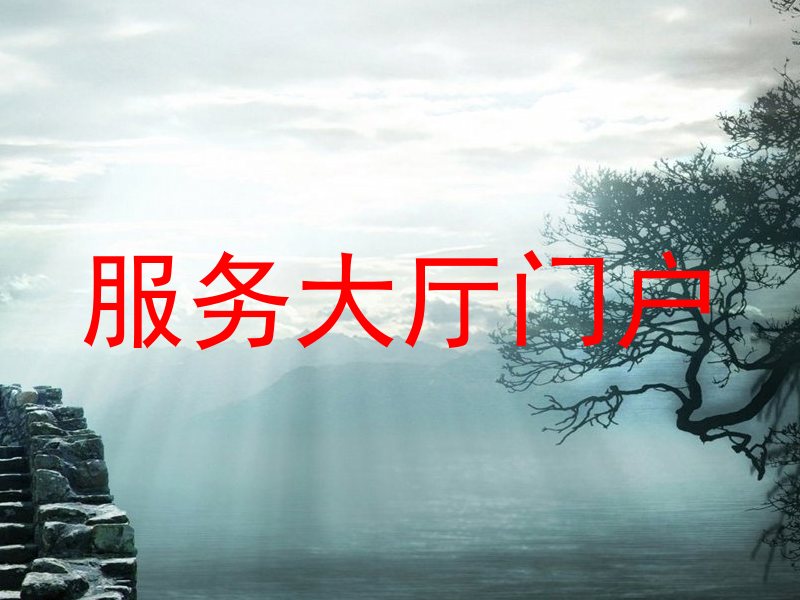 服务大厅门户