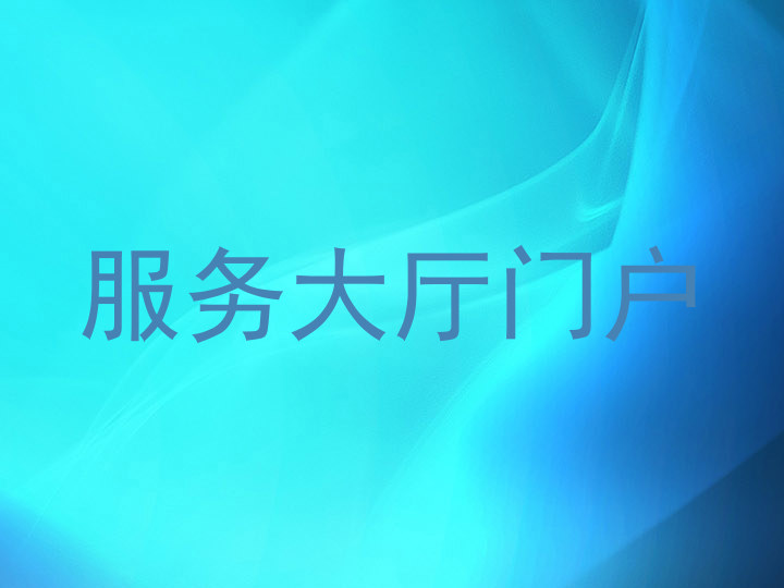 服务大厅门户