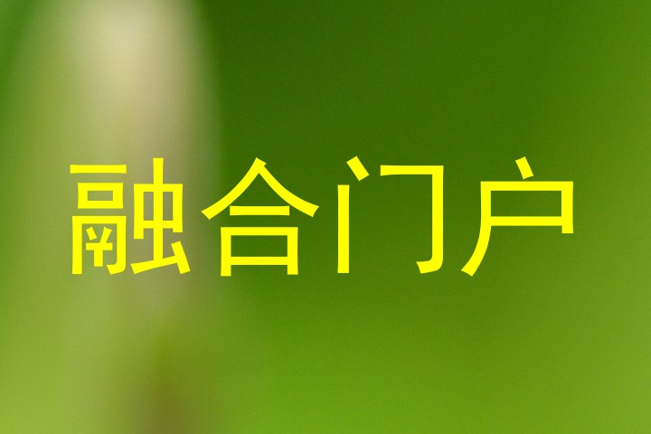 融合门户