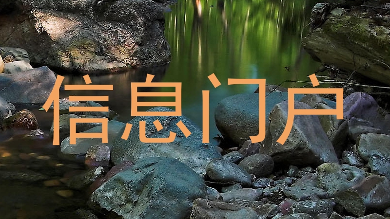 信息门户