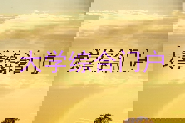 大学综合门户