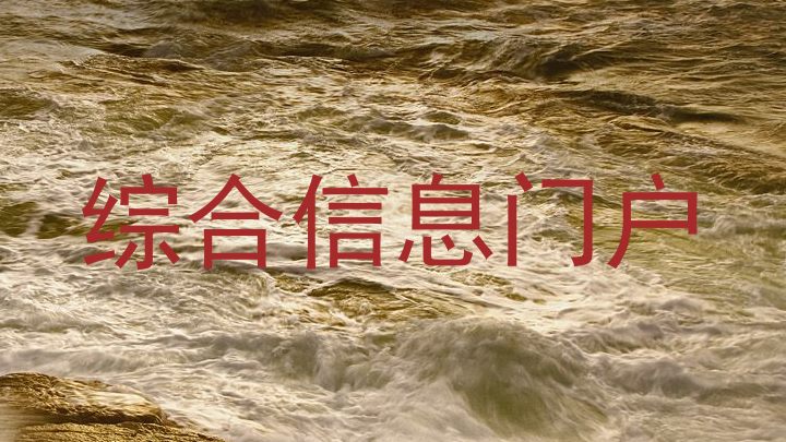 综合信息门户