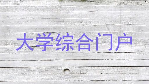 大学综合门户
