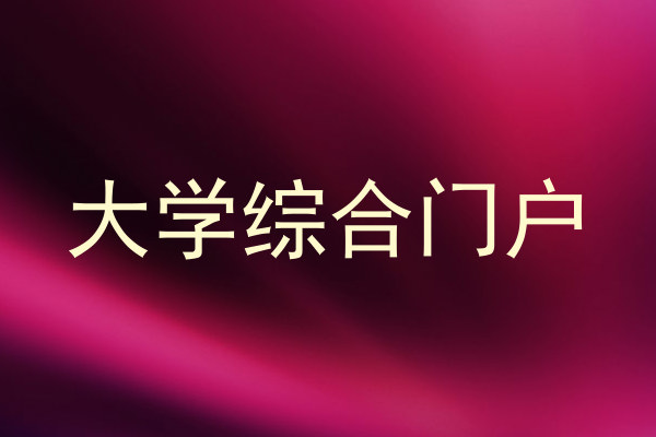 大学综合门户