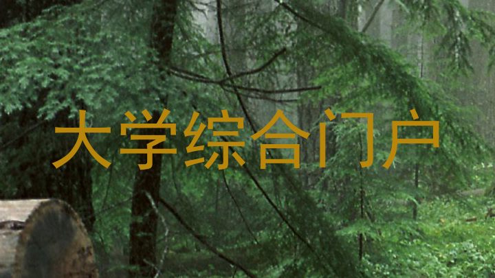 大学综合门户