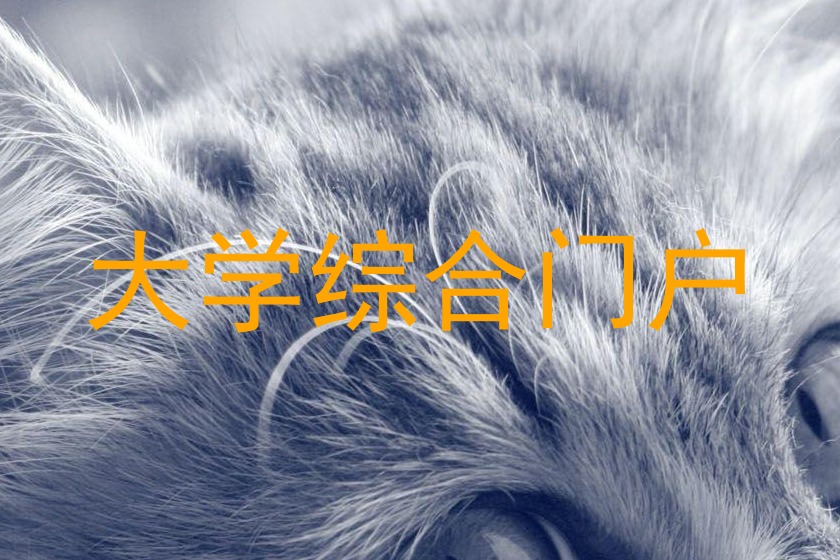 大学综合门户
