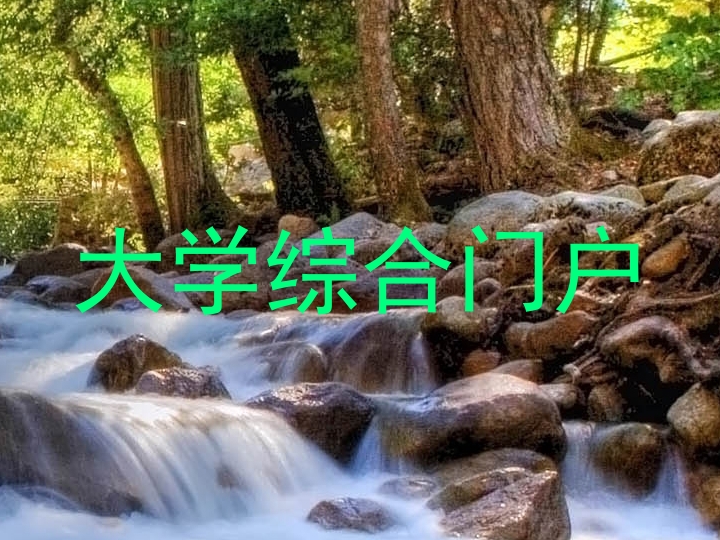 大学综合门户