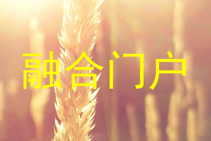 融合门户