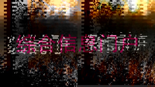 综合信息门户