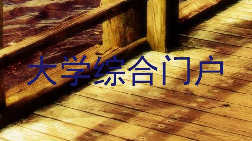 大学综合门户
