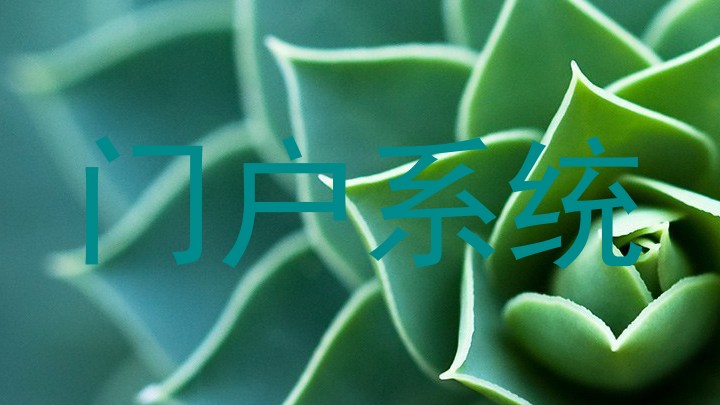 门户系统