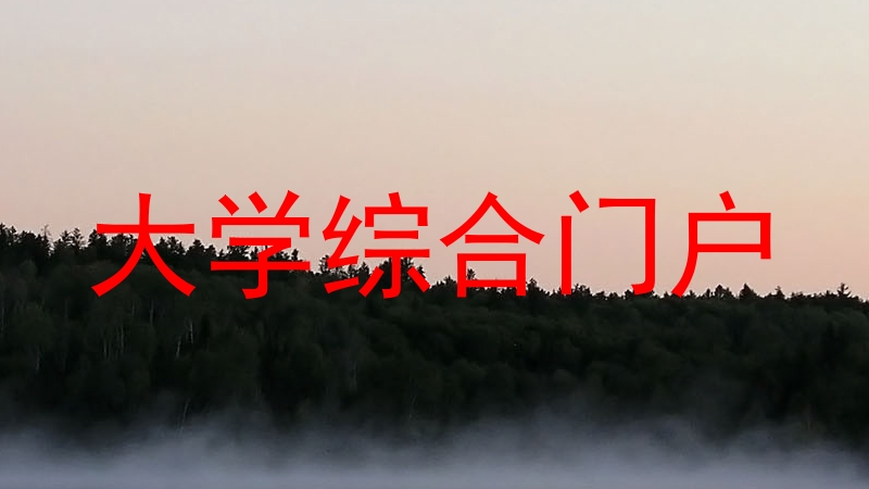 大学综合门户