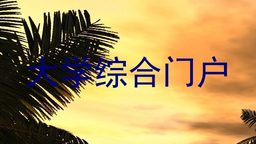 大学综合门户