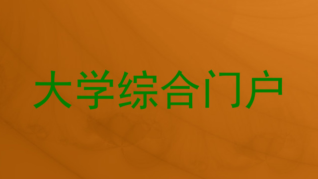 大学综合门户