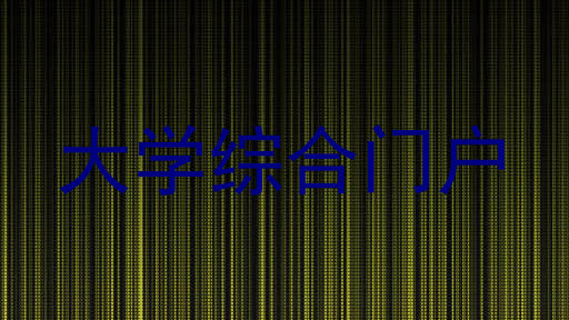 大学综合门户