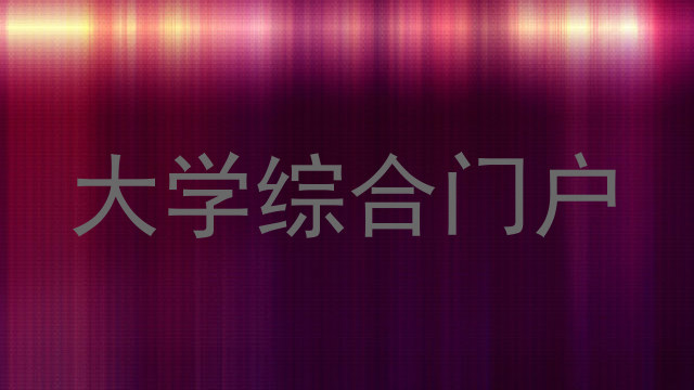 大学综合门户