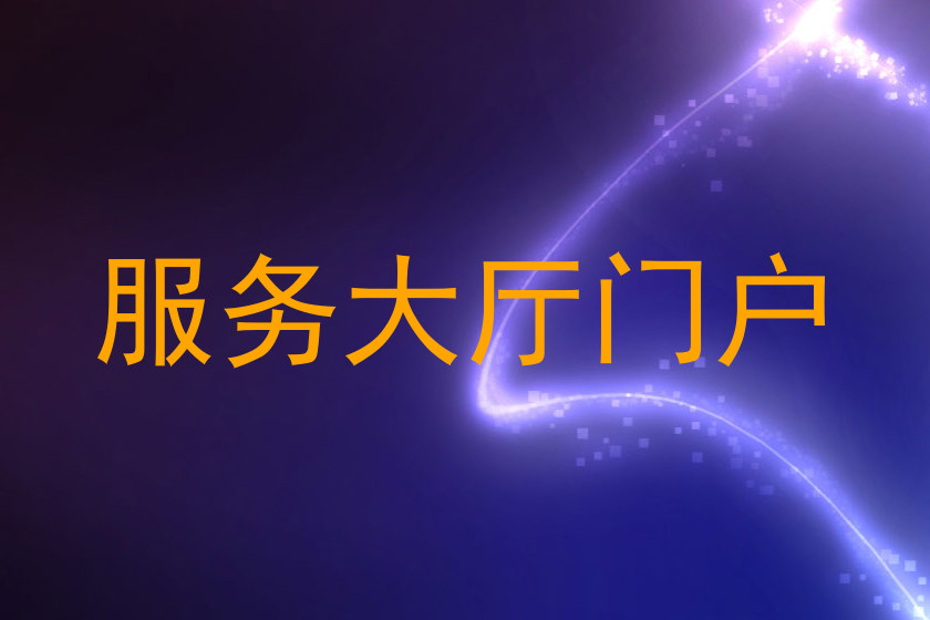 服务大厅门户