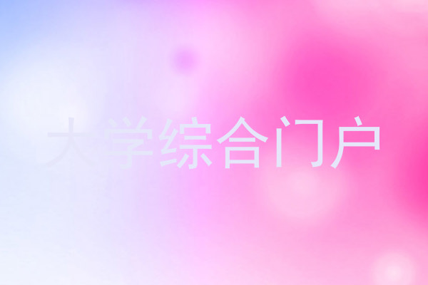 大学综合门户