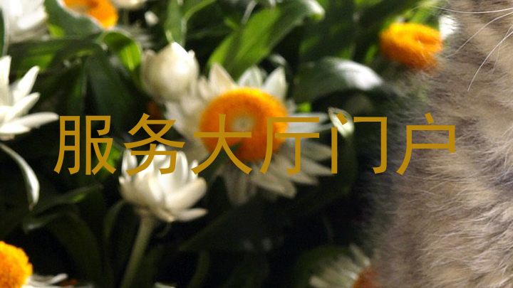 服务大厅门户