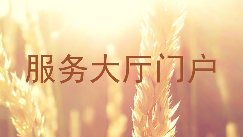 服务大厅门户